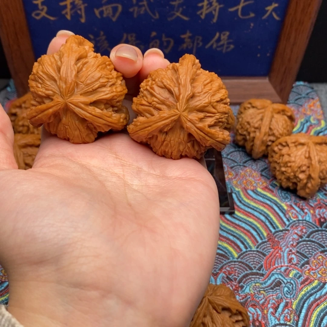 【闪购商品】北*白狮