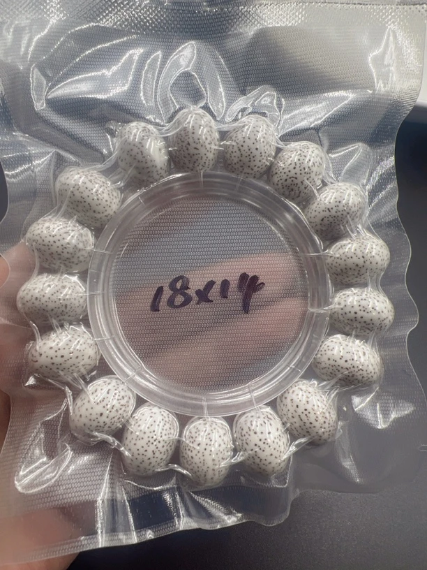 星月菩提脱脂大尺寸苹果17.3/13.5