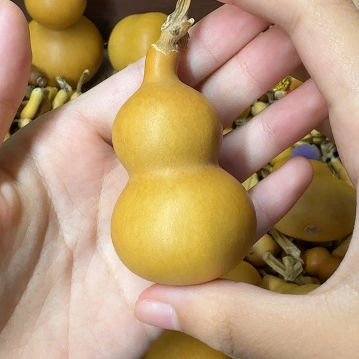 葫芦葫芦葫芦葫芦