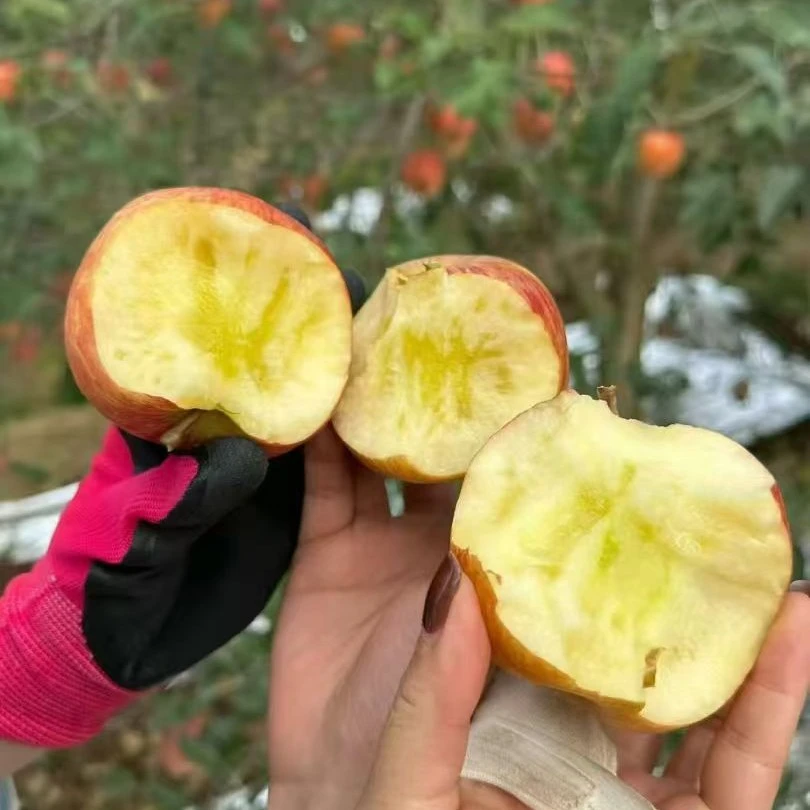 昭通丑苹果红富士苹果新鲜脆甜多汁应季水果。中果连箱重12斤