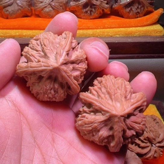 土豪级球奔漏价御龙筋39边35高全品