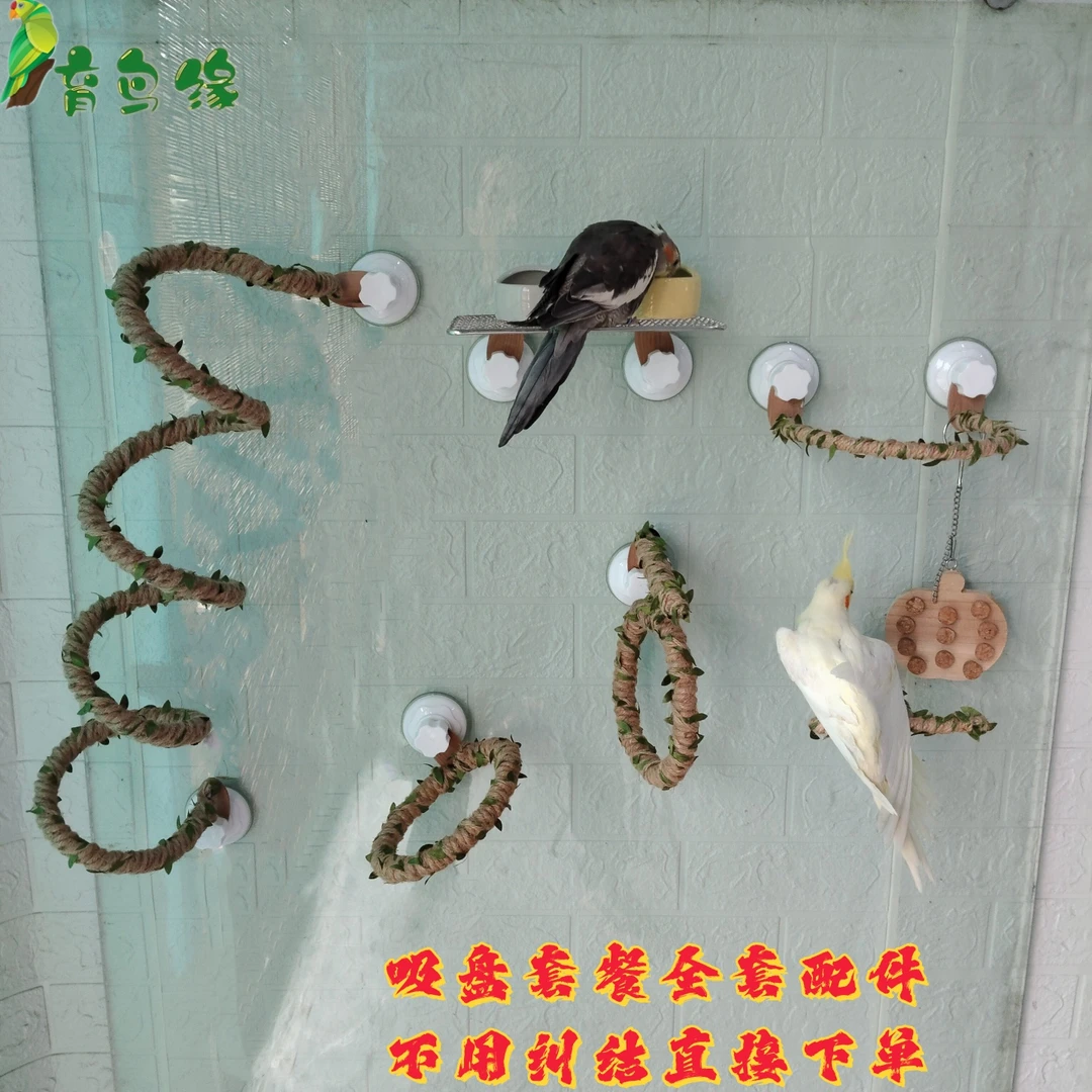 吸盘站架站杆站棍中小型鹦鹉爬玩玩具鹦鹉麻绳用品车玻璃瓷砖鸟架