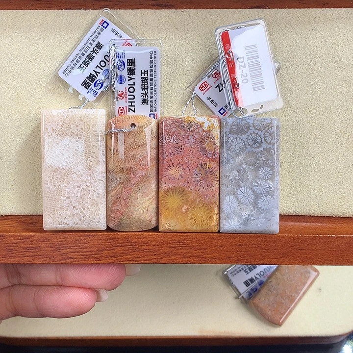硅化珊瑚（珊瑚玉）未镶嵌吊坠(赠链)5号吊坠20米一个可挑