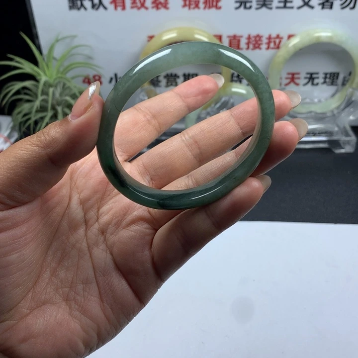 未镶嵌手镯翡翠015