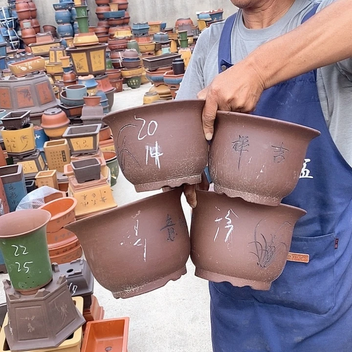 紫砂花盆紫砂花盆