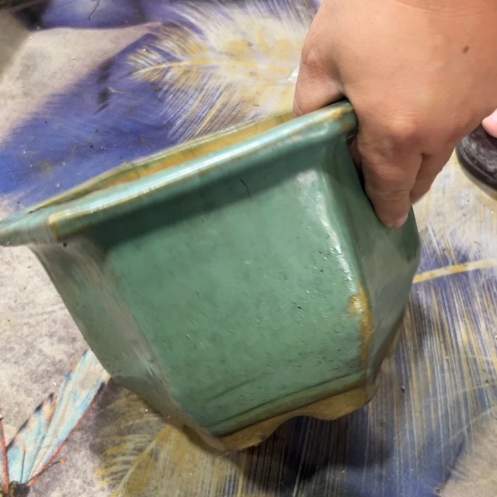 正**参我们的生活是以自己为