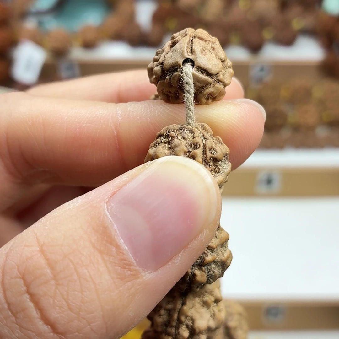 手串金刚菩提收藏版稀有精品3瓣大奔