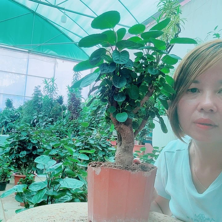 完全开放111111111