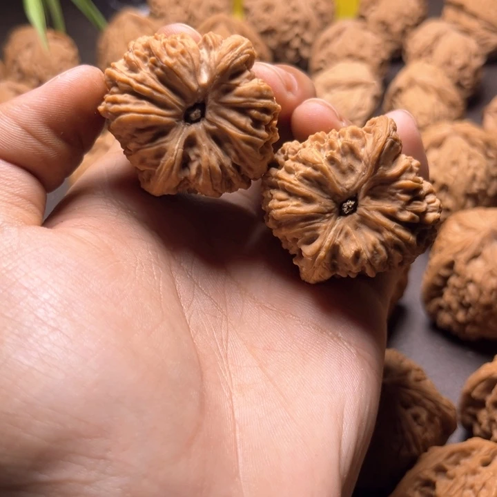我**茶南疆石南疆石南疆石38
