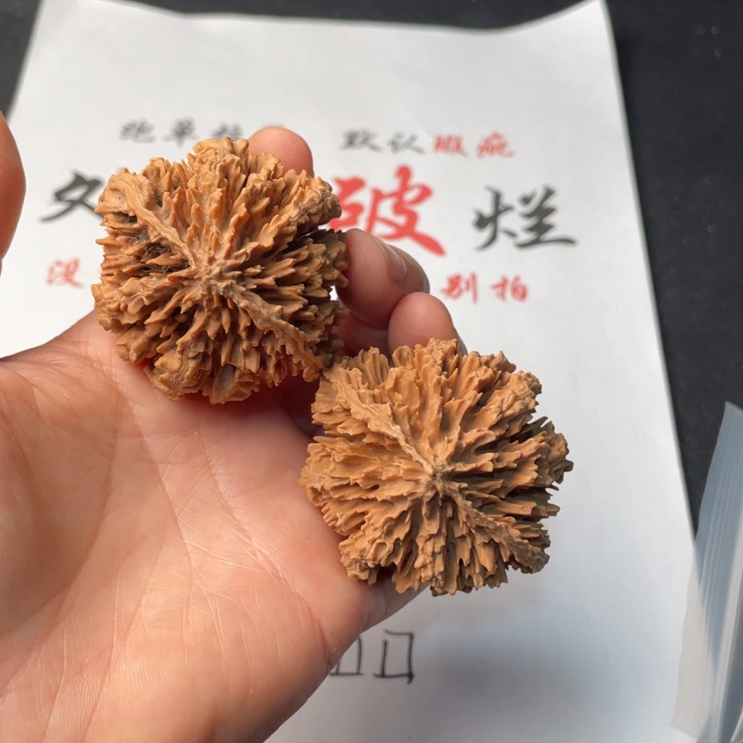 把件文玩核桃955。50秦岭秋子有磕碰有黄