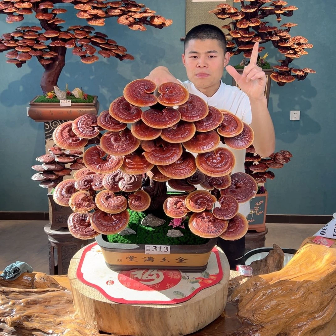 无花朵8888888888888