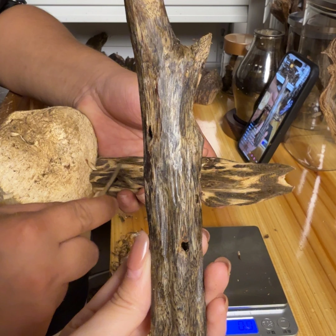 沉香绿奇虫漏香24克