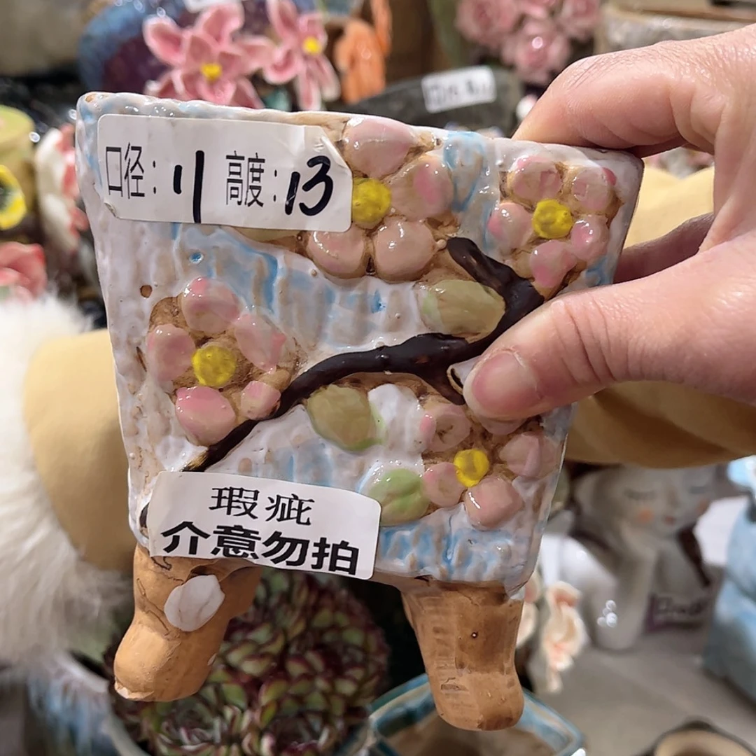 【闪购商品】红陶福利