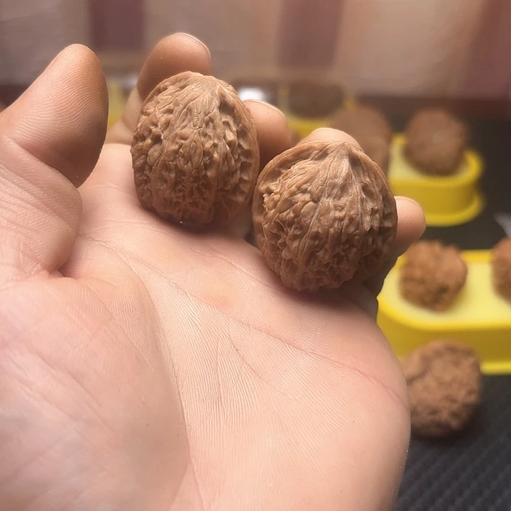把件文玩核桃狼牙山4