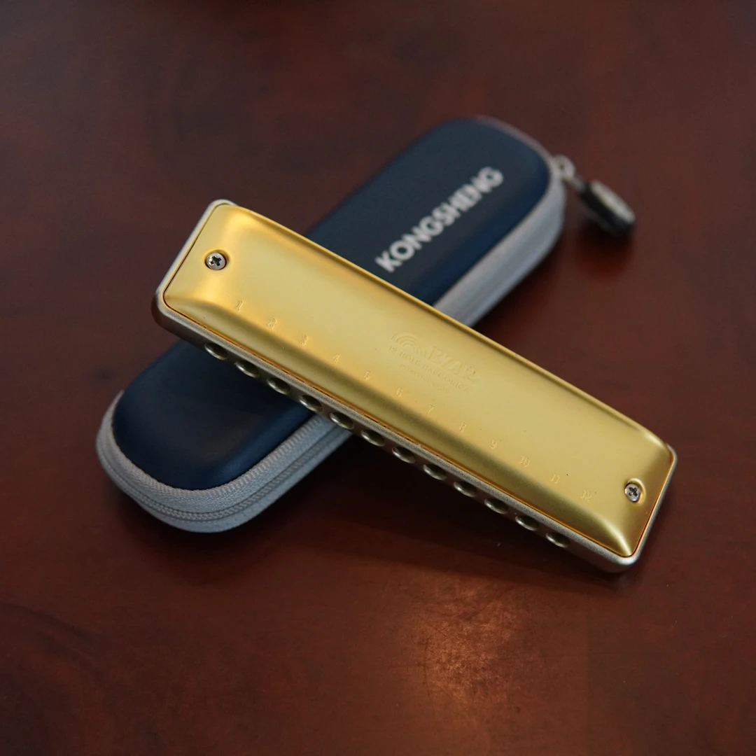 孔声小金条12孔口琴音质天花板全金属圆孔高端款专业演奏不压音