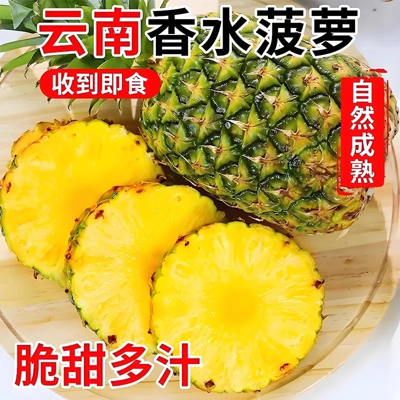 现摘香水菠萝农家新鲜水果云南香水菠萝非凤梨脆甜小波萝整箱直发
