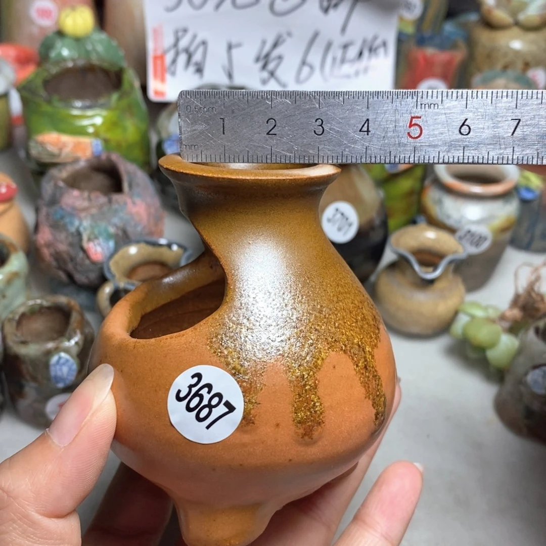 拍5送一个小礼物