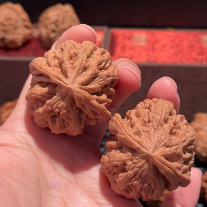 向***阳文玩核桃吊坠大粗筋