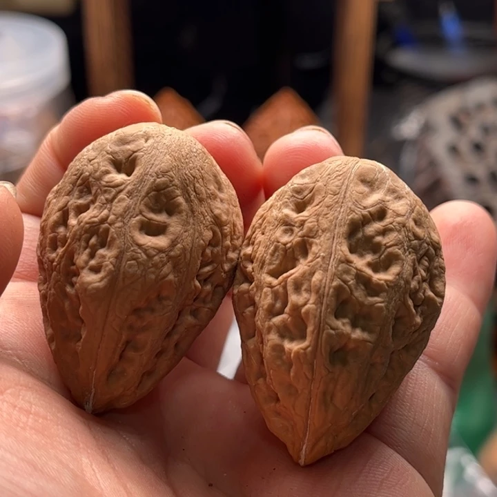 把件文玩核桃楸大胖96