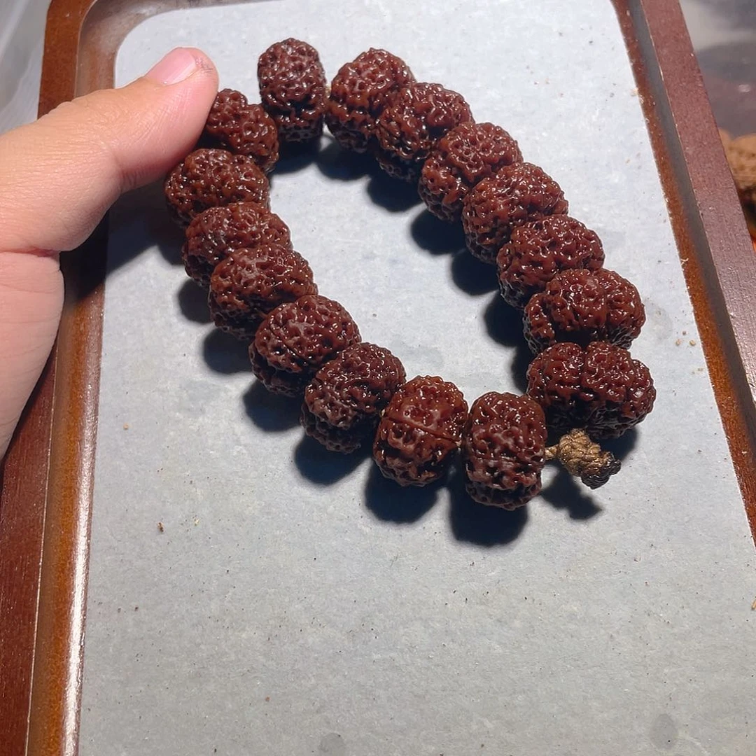 手串金刚菩提20/21蜂王夹板【全】