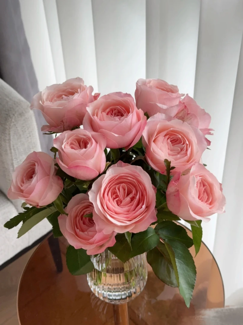 凯瑟琳玫瑰：（一单也包邮。两单同一地址及以上送货上门送配草）