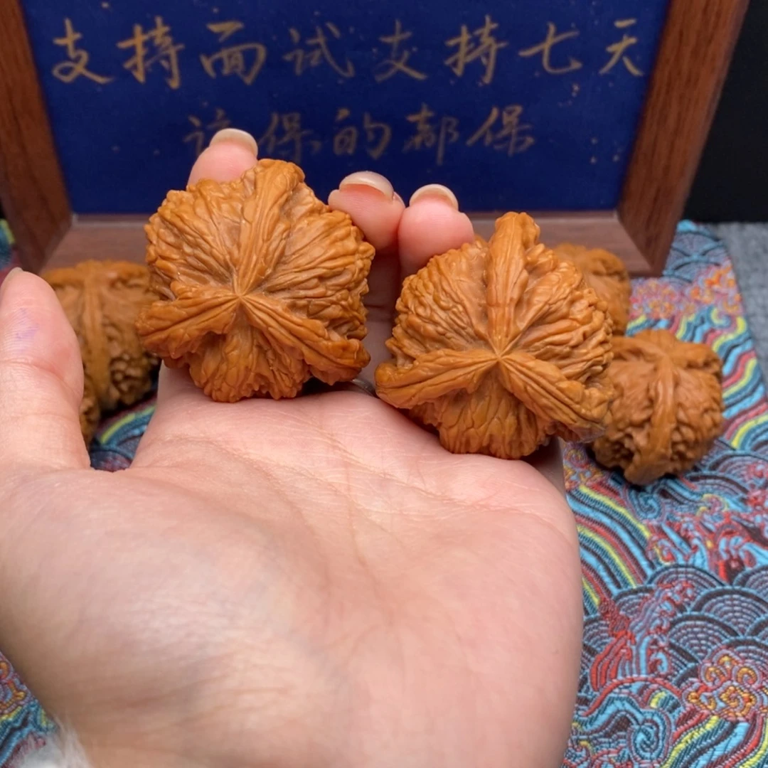 【闪购商品】?白狮
