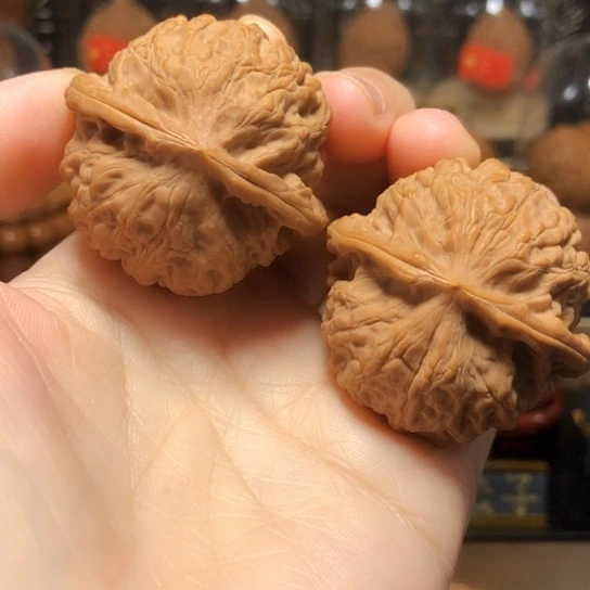 精品：平谷大金牛