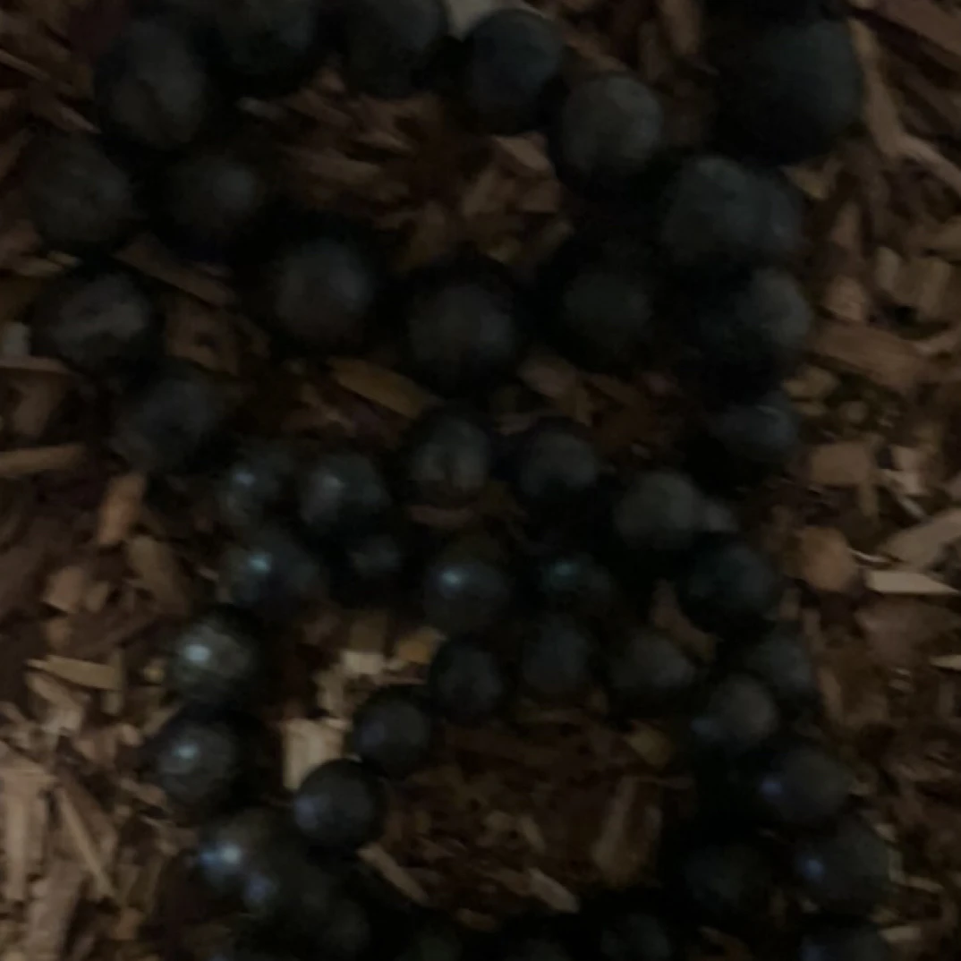 38 福来精选高端文玩