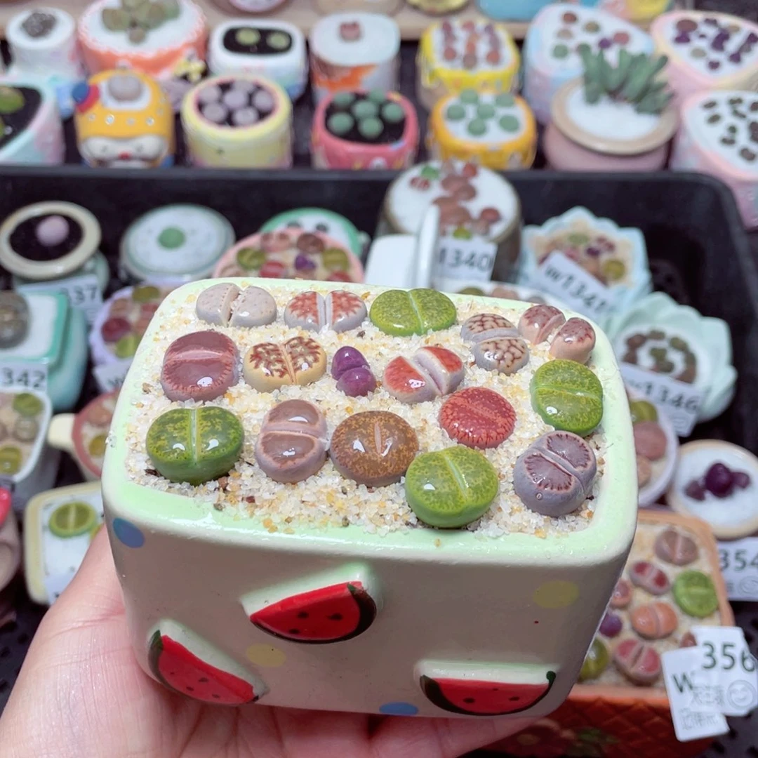 w1357 -零下地区拍保温箱-15支持寄养