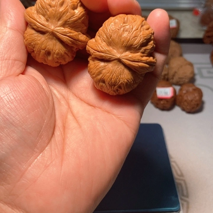 45尺白茶元宝微修