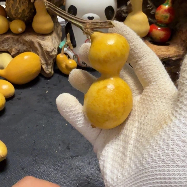 江***桥6666666666666666