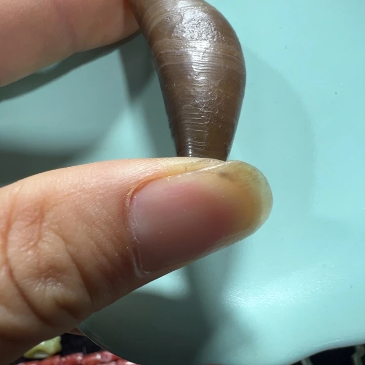 瓷片cp瓷片瓷片瓷片