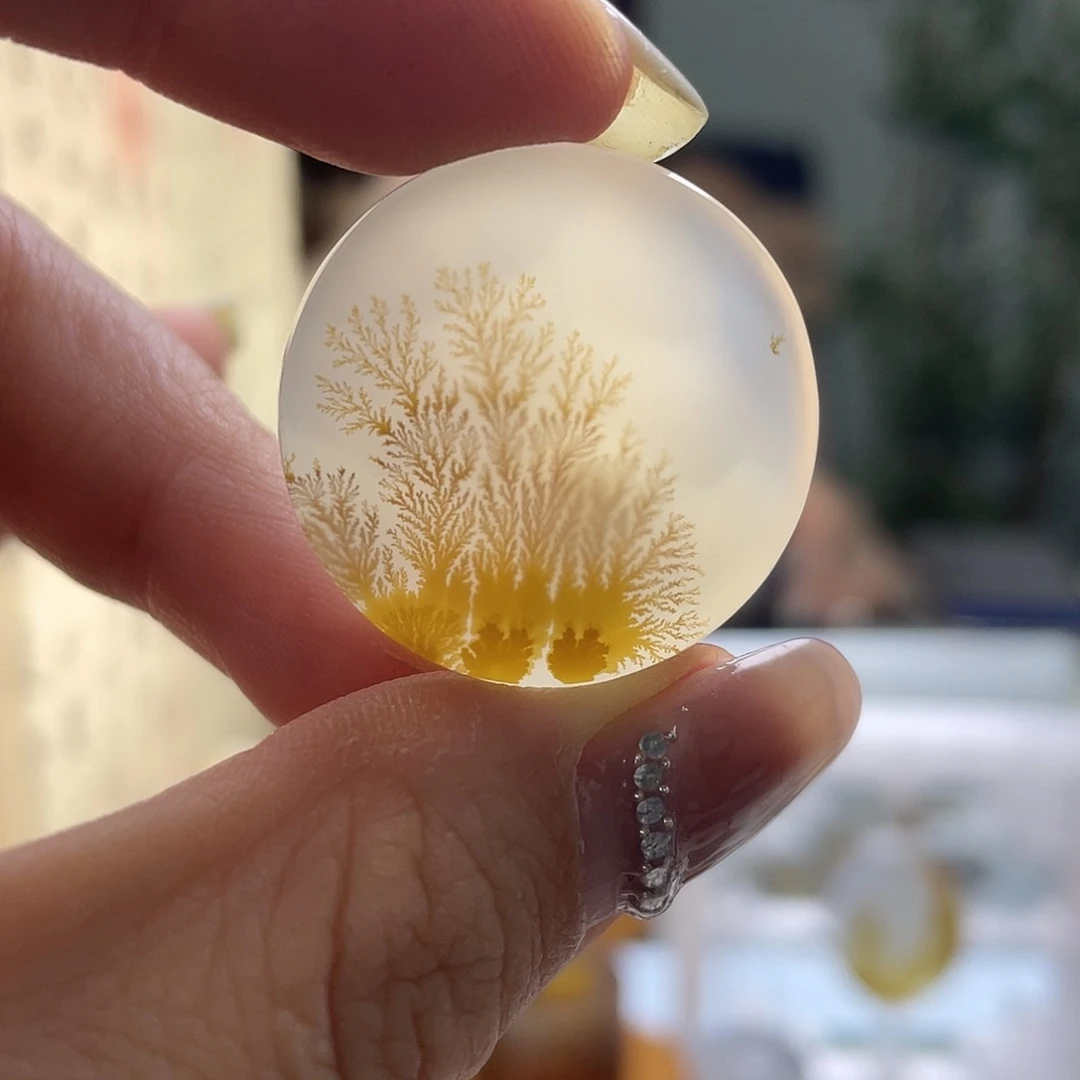 熊***语未镶嵌玛瑙/玉髓珠宝奇石