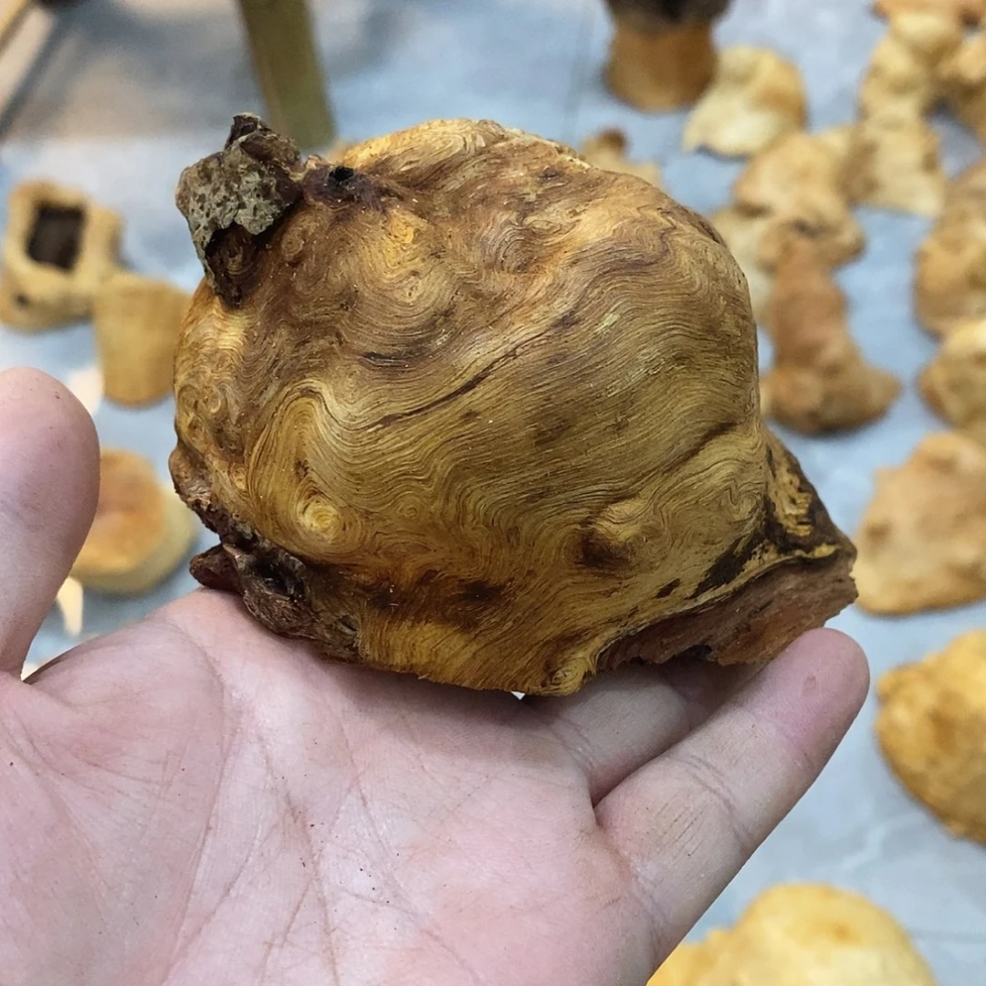 新***业荔枝木荔枝木原料