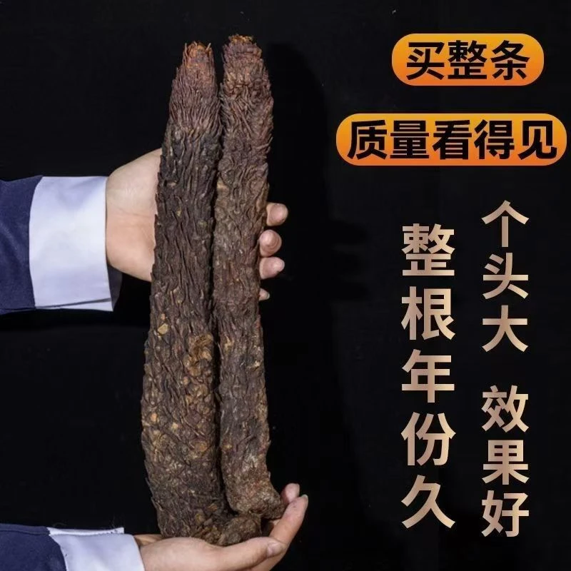 内蒙古肉苁蓉正宗阿拉善荒漠肉苁蓉整根切片可泡酒泡水中药材山药