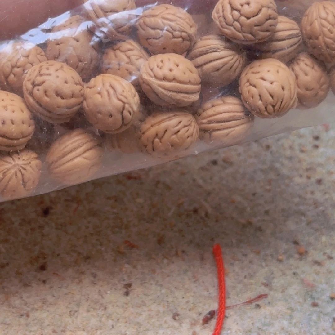 s****i钱袋子手持一条一条