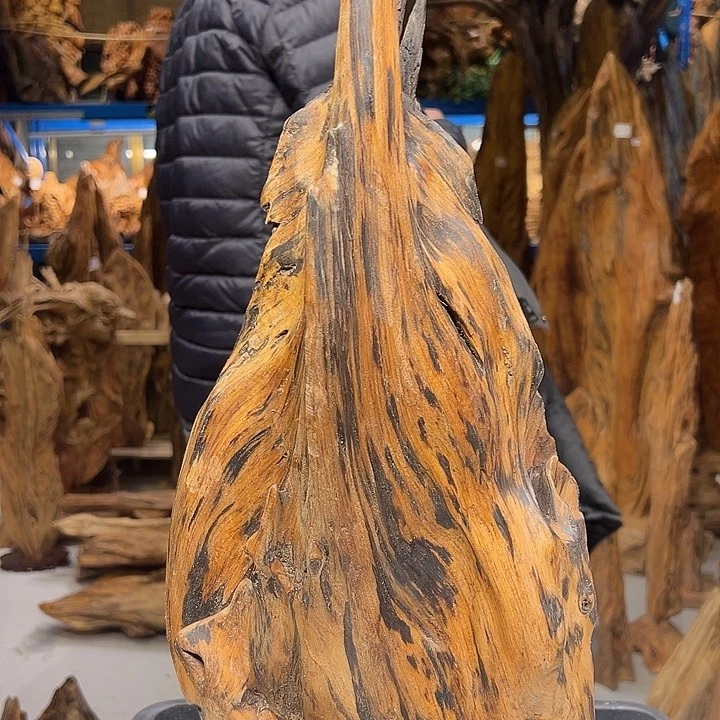 松木（琥珀木）礼琥珀