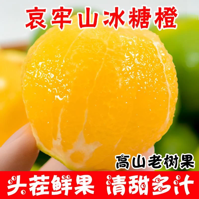 【买3斤送2斤】5斤云南哀牢山冰糖橙甜脐青皮橙子彩箱褚甜橙批发