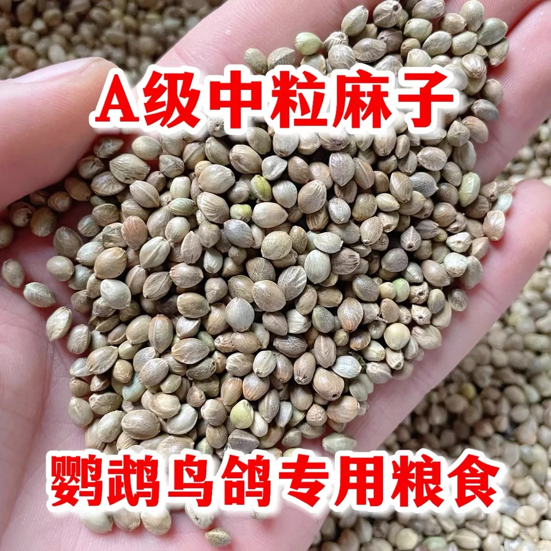 纸壳麻子鹦鹉鸟粮中颗粒火麻籽玄凤虎皮牡丹小太阳鸟食仓鼠鸽子粮