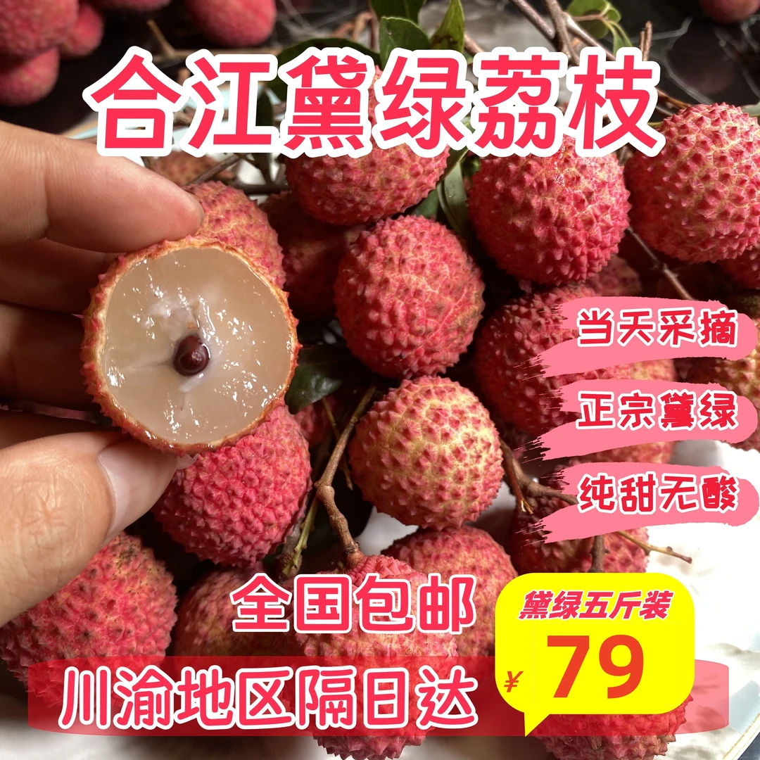 （川渝地区专拍）合江黛绿荔枝新鲜采摘奥运名果带绿荔枝当季水果