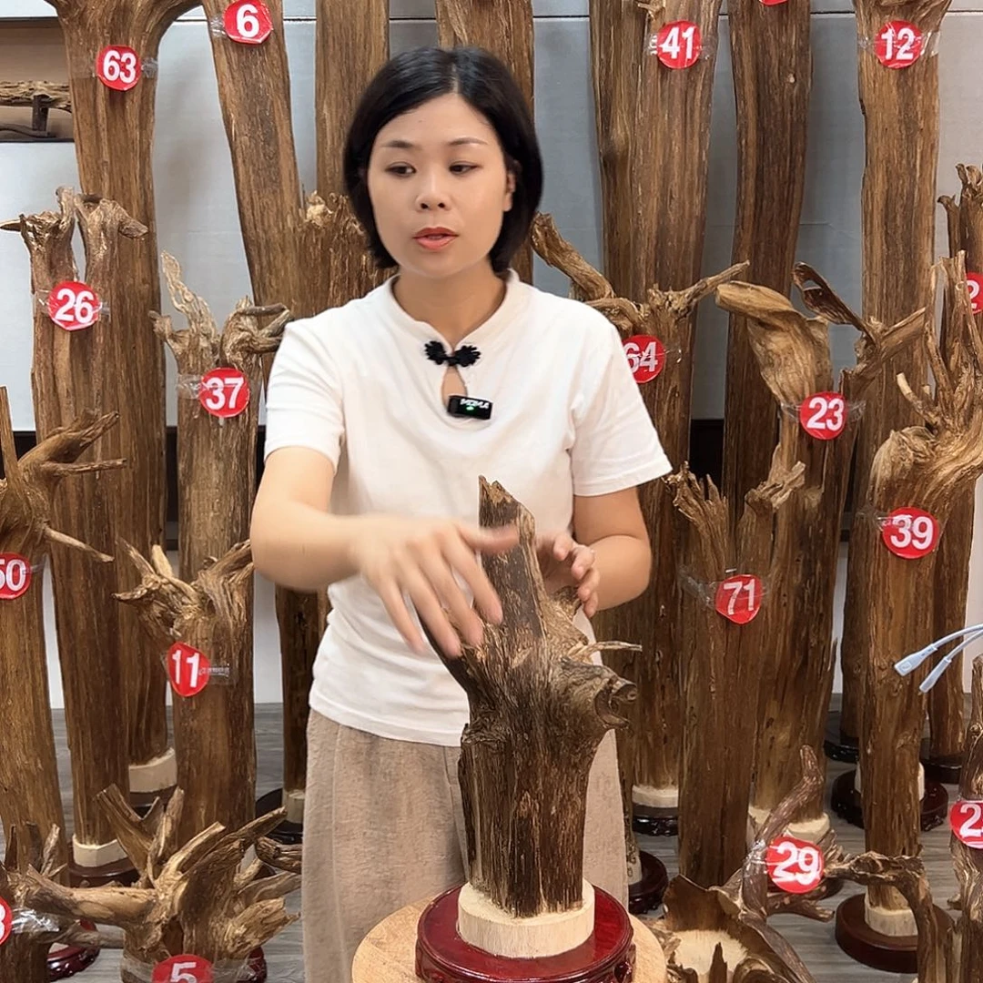 沉香碎屑沉香沉香碎屑
