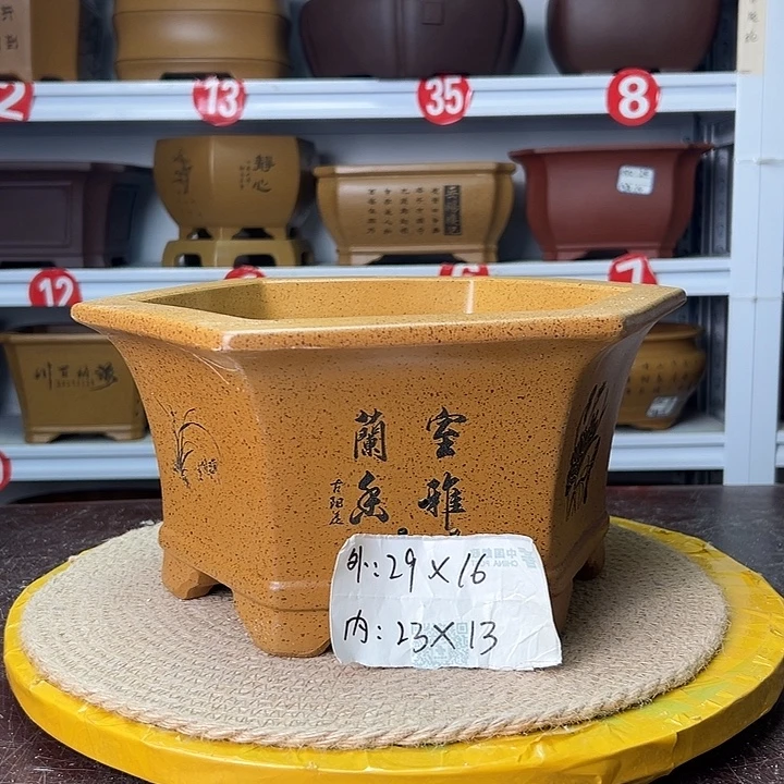 花盆紫砂蛇年大吉