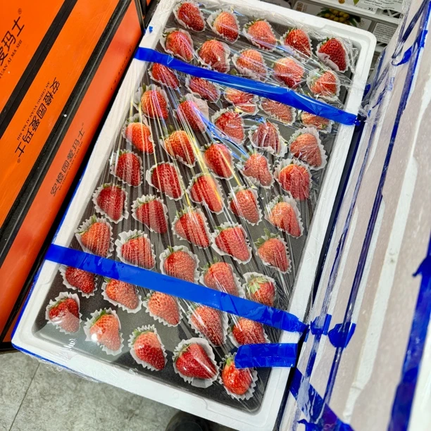 丹东草莓一板