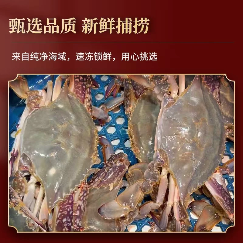 【保鲜不保活】山东威海海捕鲜活梭子蟹公蟹6两左右/只总斤数可选