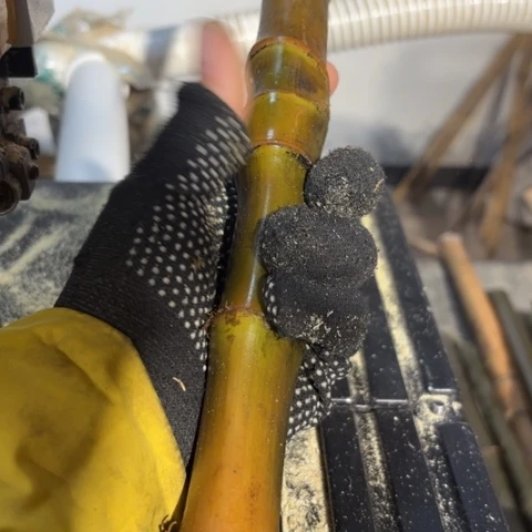 英***色实心竹竹竹竹竹竹竹竹竹