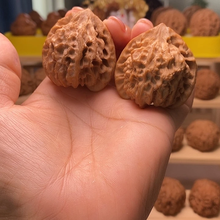 核桃42尺寸的龙门剑