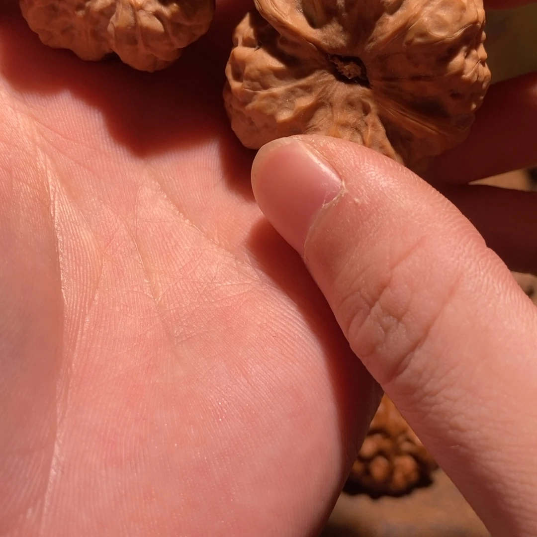 三***0文玩核桃吊坠蛤蟆头D17