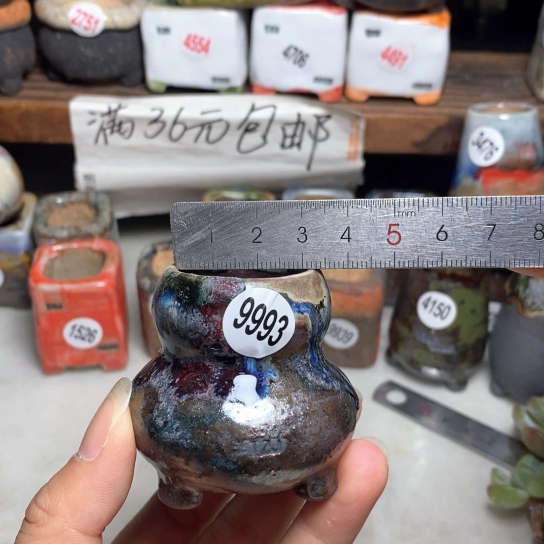 拍5送一个小礼物