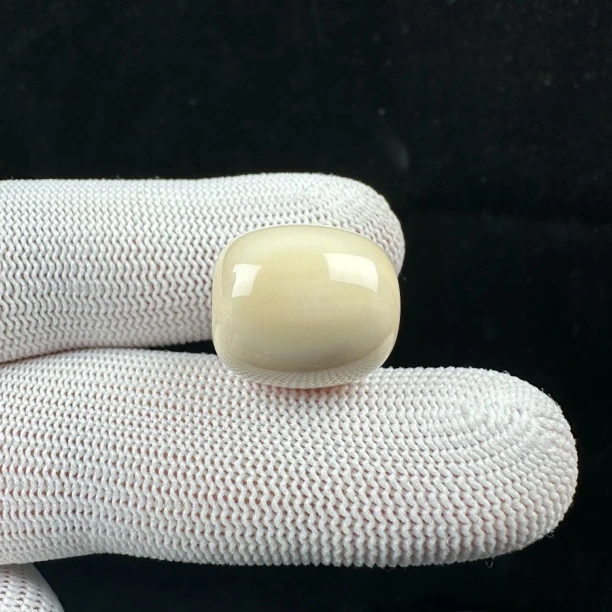 K5834天然猛犸 桶珠15.9*17.4mm 支持鉴定假一罚十