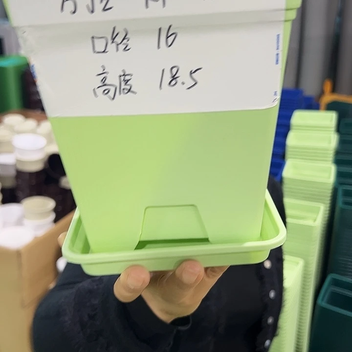 特价方盆口16高18果绿带托5只